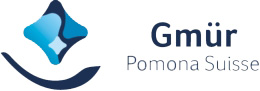 Gmür E.J. AG